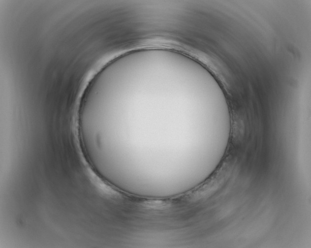 X0000112371478200909031921