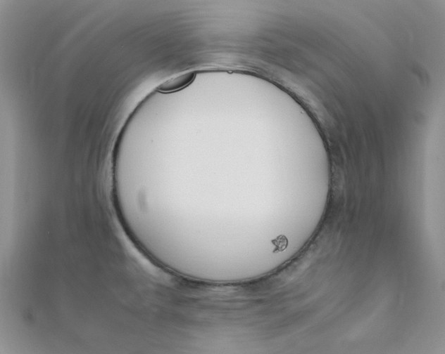 X0000112371479200909031921