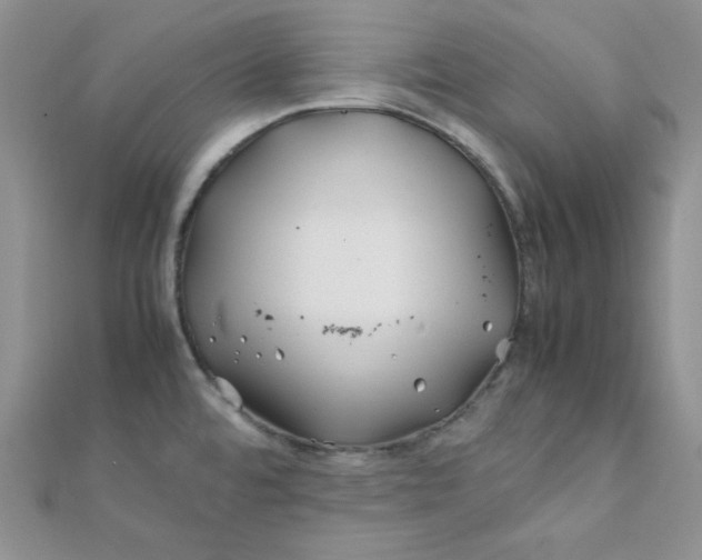 X0000112371480200909031921