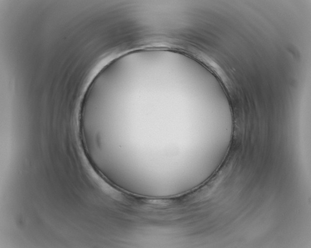 X0000112371483200909031921