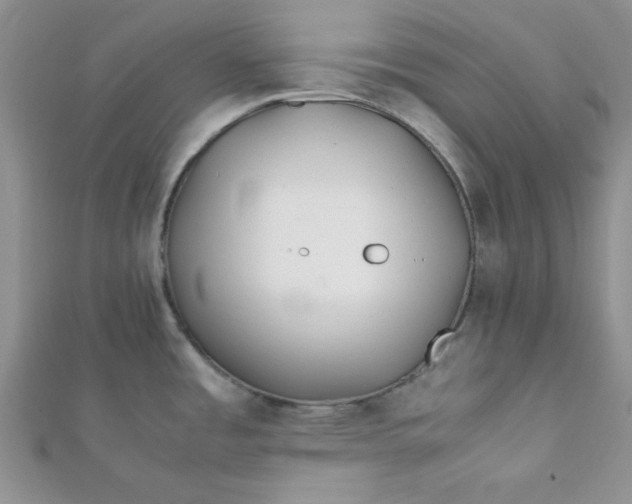 X0000112371485200909031921