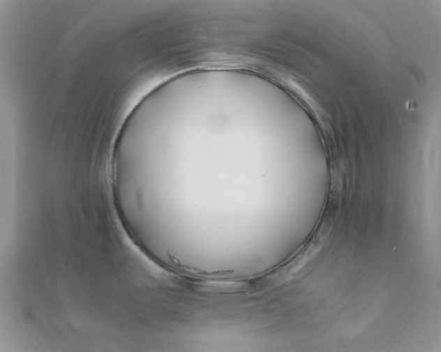 X0000112371487200909031921