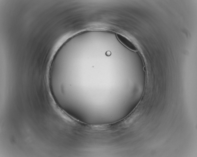 X0000112371488200909031921