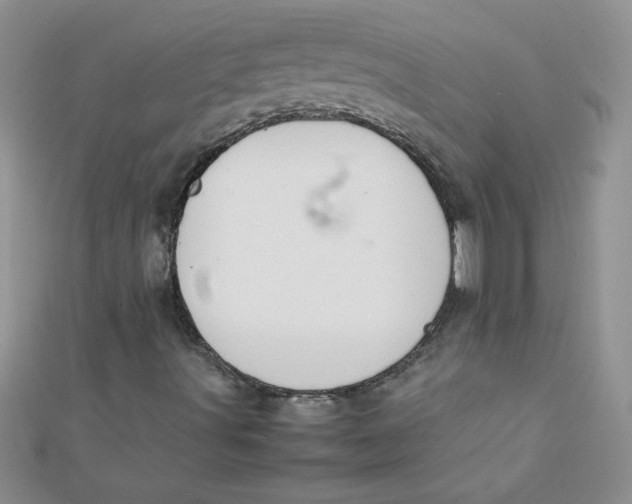 X0000112371491200909031920