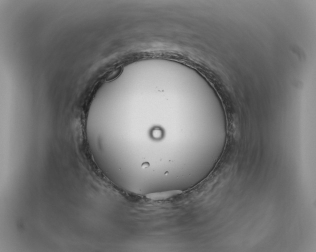 X0000112371493200909031920