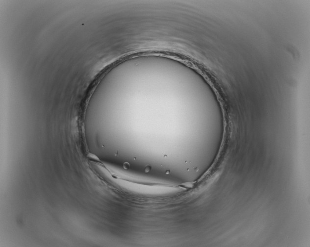 X0000112371497200909031920