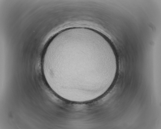 X0000112371498200909031920