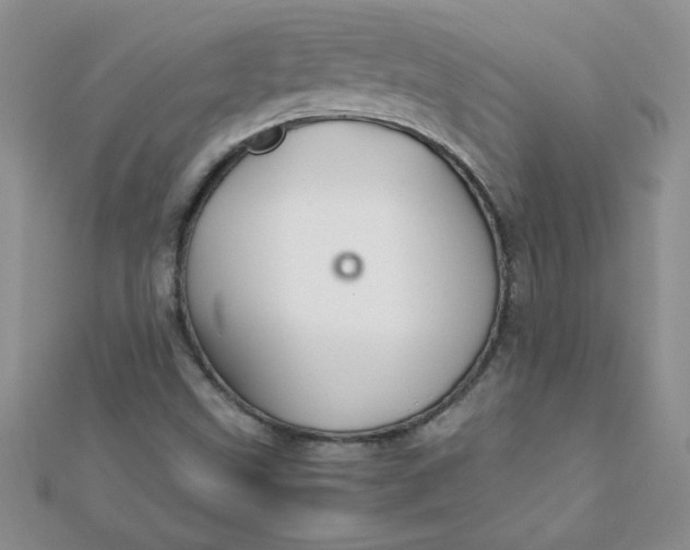 X0000112371499200909031920