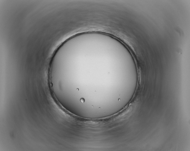 X0000112371500200909031920