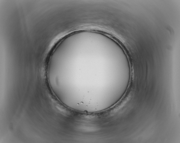 X0000112371501200909031920