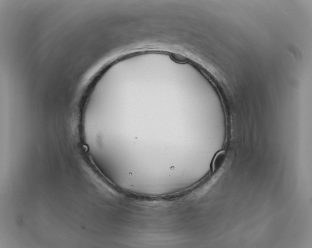 X0000112371502200909031920