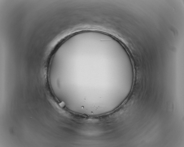 X0000112371503200909031920