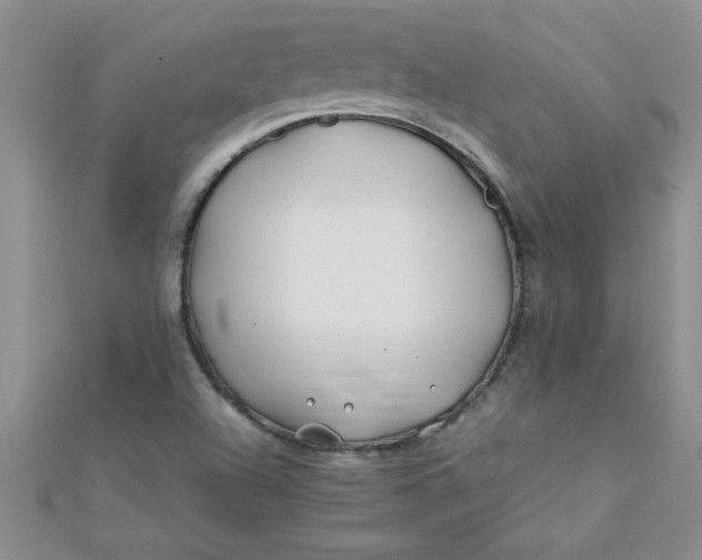 X0000112371504200909031921