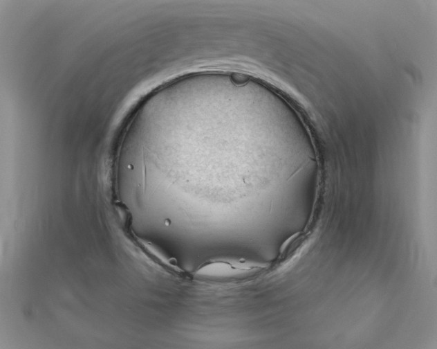 X0000112371506200909031921