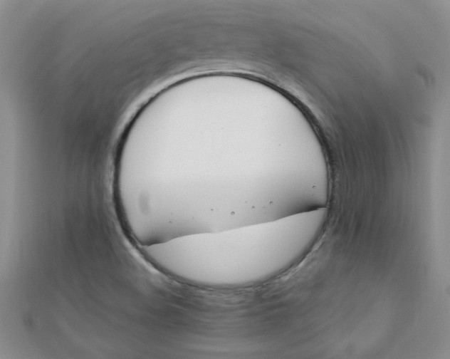 X0000112371508200909031921