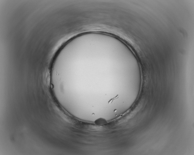 X0000112371509200909031921