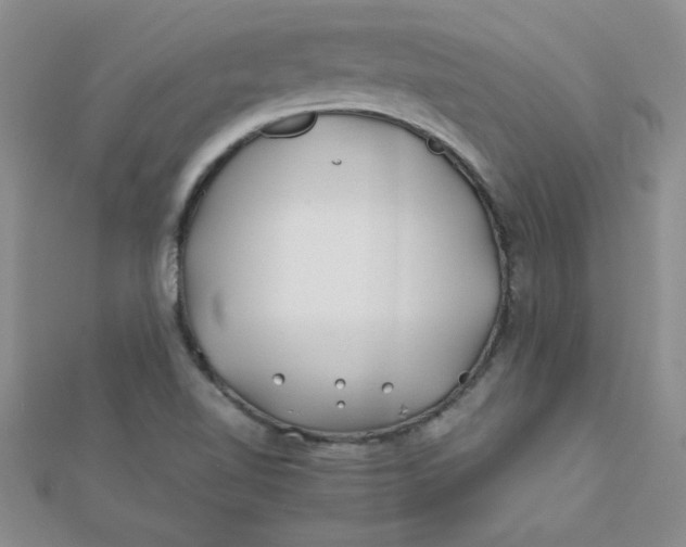 X0000112371510200909031921