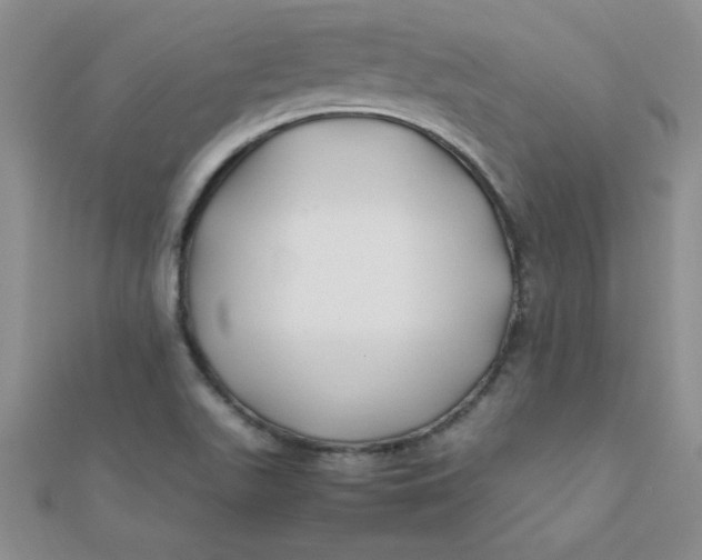 X0000112371511200909031921