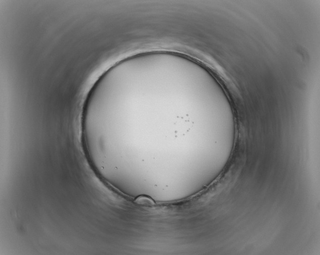 X0000112371512200909031921