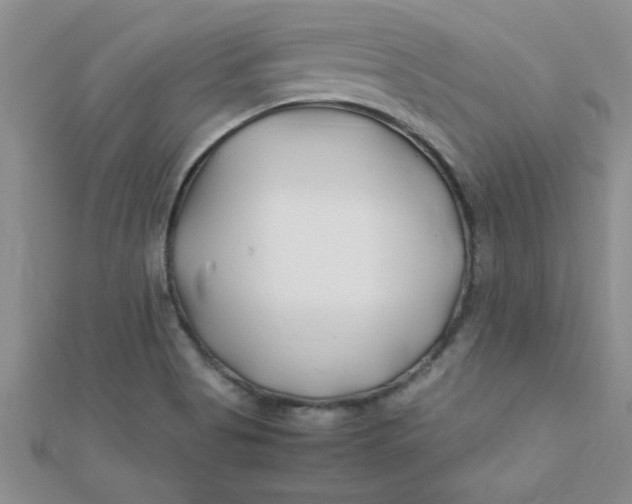 X0000112371513200909031921