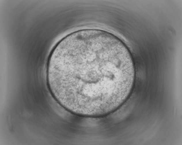 X0000112371514200909031921