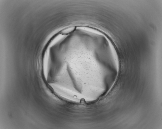 X0000112371515200909031921