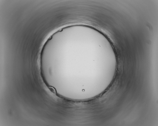 X0000112371516200909031921