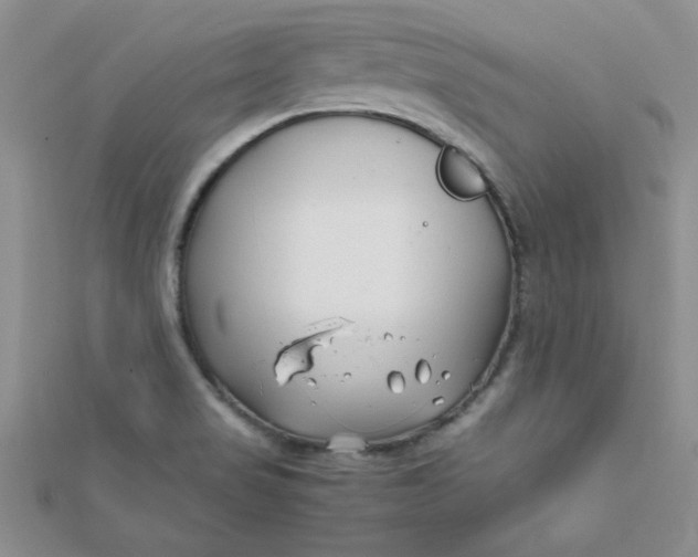 X0000112371517200909031921