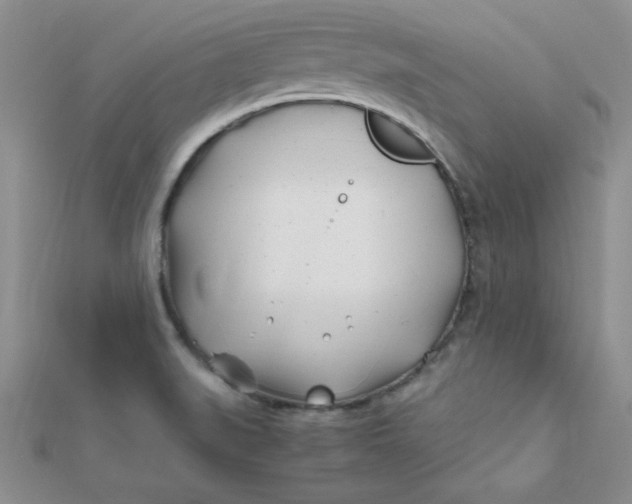 X0000112371519200909031921