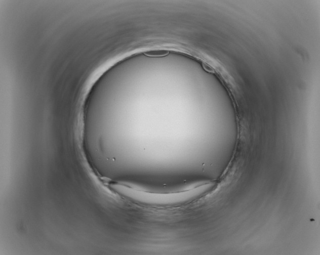 X0000112371520200909031921