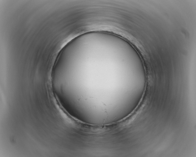 X0000112371521200909031921