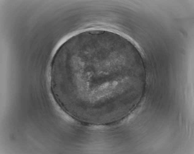 X0000112371522200909031921