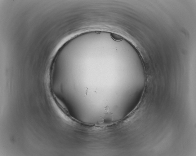 X0000112371523200909031921