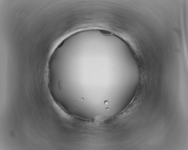 X0000112371524200909031921