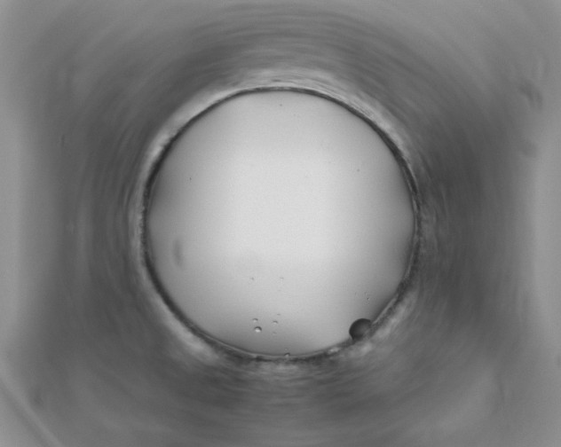 X0000112371525200909031921