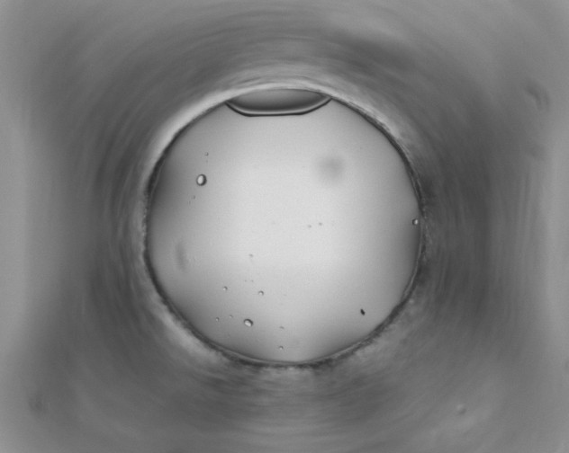 X0000112371526200909031921