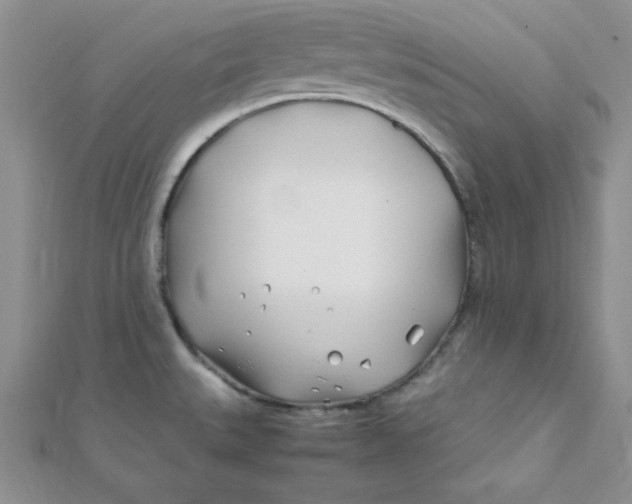 X0000112371527200909031921