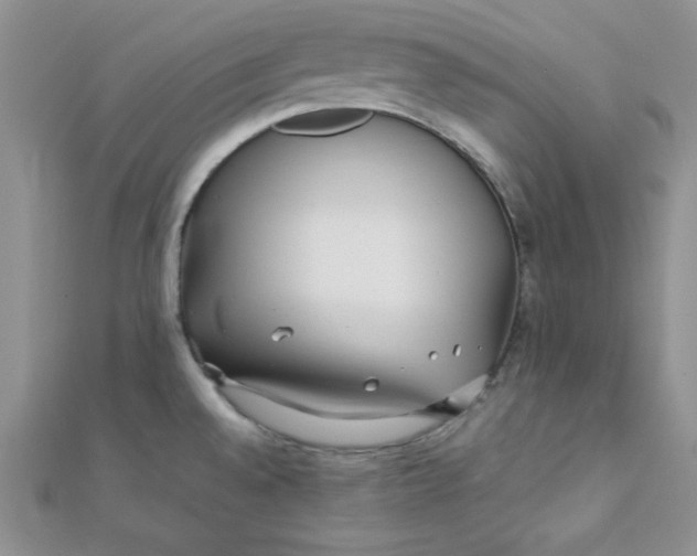 X0000112371528200909031921