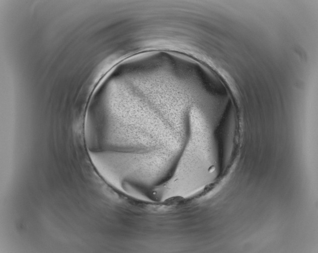 X0000112371529200909031921