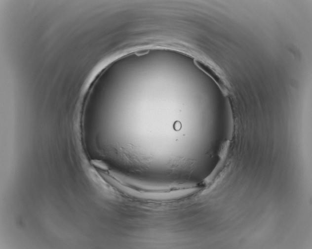 X0000112371530200909031921