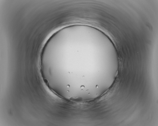 X0000112371531200909031921