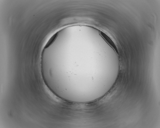 X0000112371532200909031921