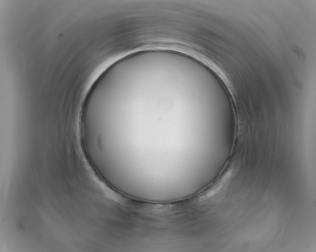 X0000112371533200909031921