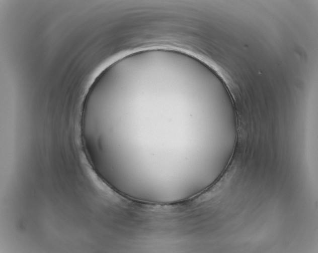 X0000112371534200909031921