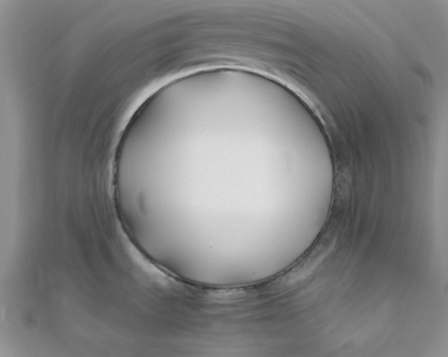 X0000112371535200909031921