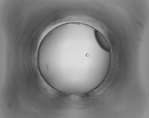 X0000112371536200909031921