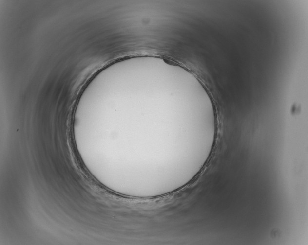 X0000112370001200909101333