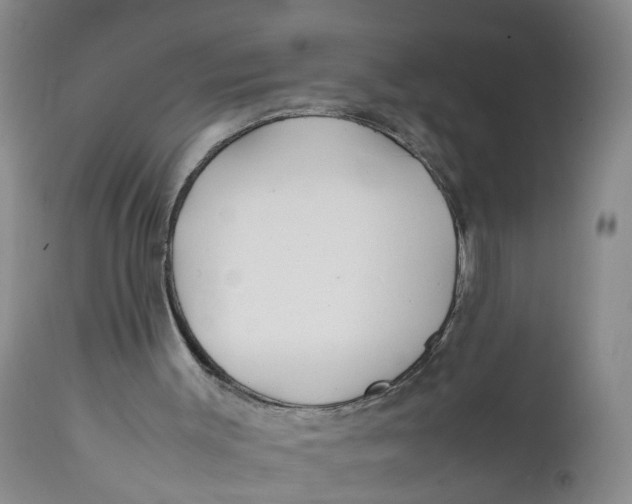 X0000112370003200909101333