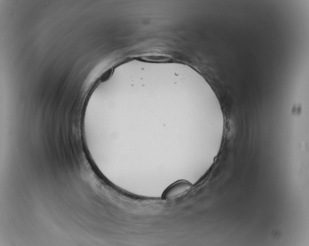 X0000112370004200909101333