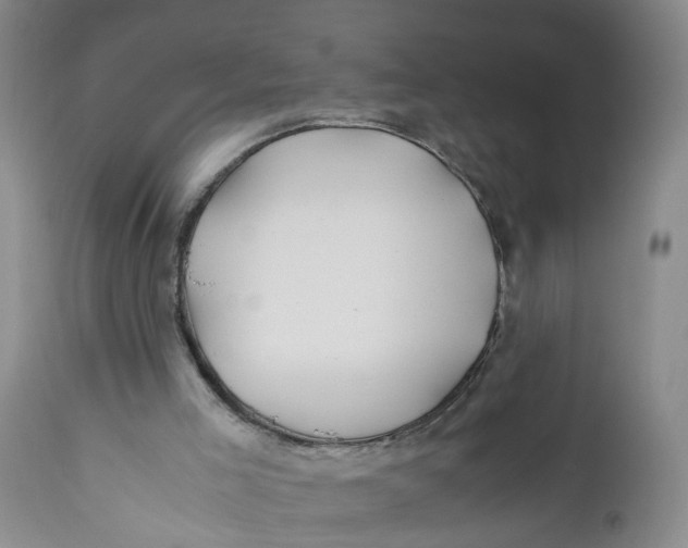 X0000112370005200909101333